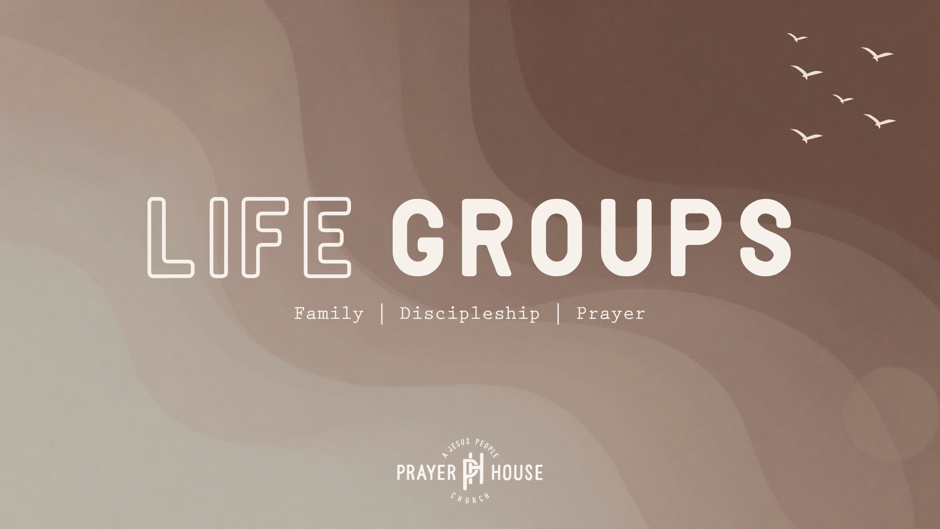 Life Groups